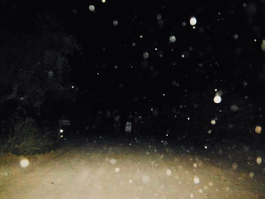 Longing is the portal to wholeness